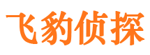 隆子外遇出轨调查取证